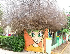 Exploring Tam Thanh Mural Village: A Visual Journey with Tieu Vy - image 8