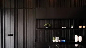 Inside the Luxury Black-Tone Apartments of Vietnamese Stars: Hoàng Thùy Linh's Massive Home - image 6