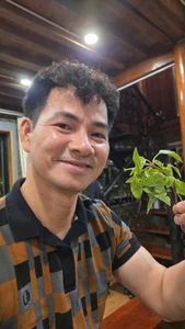 Vietnamese Celeb News: Phuong My Chi’s Dating Rumors and Quoc Truong’s Family Moments - image 6