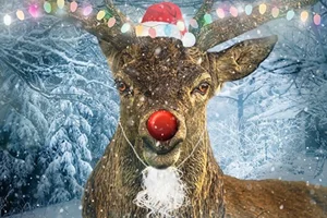Surprising Truths and Untold History Behind Christmas and Santa Claus Myths - image 3