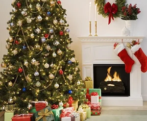 Surprising Truths and Untold History Behind Christmas and Santa Claus Myths - image 6