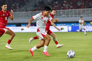 Nguyen Hai Long's Iconic Goal Celebration Sparks Viral Sensation - image 7
