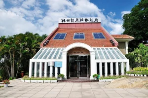 Exploring the Breathtaking Subtropical Paradise: A Hidden Gem in China's Natural Landscape - image 7