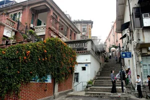 Exploring the Breathtaking Subtropical Paradise: A Hidden Gem in China's Natural Landscape - image 3