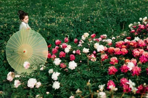 Unveiling the Sophistication of YiTuYu Art Language Vol.4607 featuring Model Yi Xuan - image 32