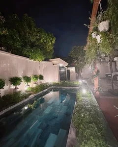 Inside Le Quyen's Luxurious 600-Square-Meter Villa and Lush Garden - image 6
