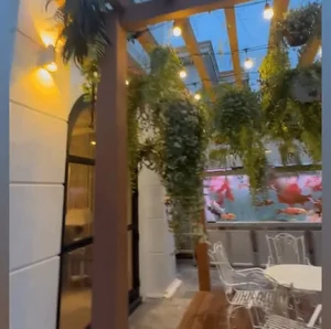 Inside Le Quyen's Luxurious 600-Square-Meter Villa and Lush Garden - image 4