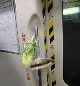 Commuter Chaos: Hilarious and Relatable 'Train Fail' Moments - image 1