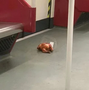 Commuter Chaos: Hilarious and Relatable 'Train Fail' Moments - image 5