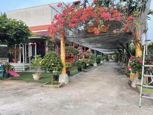 Bỏ phố về quê: Bí quyết thu nhập tiền tỷ từ mô hình nông nghiệp của đôi vợ chồng trẻ - image 10