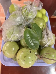 Bỏ phố về quê: Bí quyết thu nhập tiền tỷ từ mô hình nông nghiệp của đôi vợ chồng trẻ - image 6