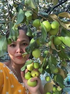 Bỏ phố về quê: Bí quyết thu nhập tiền tỷ từ mô hình nông nghiệp của đôi vợ chồng trẻ - image 5