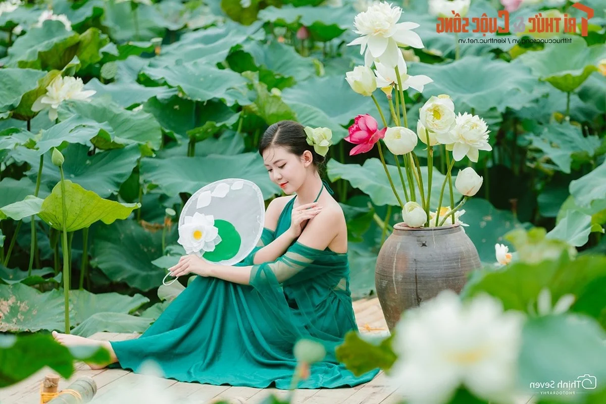 Graceful Beauty Queen in Traditional Yem Dress Amidst Early Season Lotus Blooms