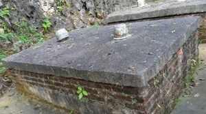 The Hanoi Tycoon Who Spent a Fortune Mastering Ancient Mummification Techniques - image 3