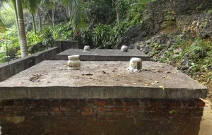 The Hanoi Tycoon Who Spent a Fortune Mastering Ancient Mummification Techniques - image 12