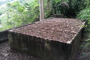 The Hanoi Tycoon Who Spent a Fortune Mastering Ancient Mummification Techniques - image 6