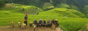 The Stairway to Heaven: Exploring the Landscapes of Northwest Vietnam - image 6