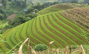 The Stairway to Heaven: Exploring the Landscapes of Northwest Vietnam - image 7