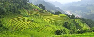 The Stairway to Heaven: Exploring the Landscapes of Northwest Vietnam - image 2