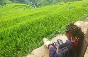 The Stairway to Heaven: Exploring the Landscapes of Northwest Vietnam - image 5