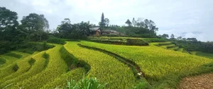 The Stairway to Heaven: Exploring the Landscapes of Northwest Vietnam - image 1