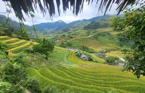 The Stairway to Heaven: Exploring the Landscapes of Northwest Vietnam - image 11