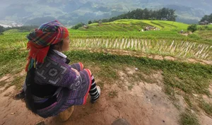 The Stairway to Heaven: Exploring the Landscapes of Northwest Vietnam - image 12
