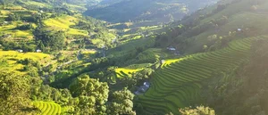 The Stairway to Heaven: Exploring the Landscapes of Northwest Vietnam - image 4