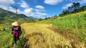 The Stairway to Heaven: Exploring the Landscapes of Northwest Vietnam - image 9