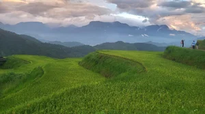 The Stairway to Heaven: Exploring the Landscapes of Northwest Vietnam - image 0