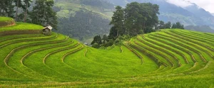 The Stairway to Heaven: Exploring the Landscapes of Northwest Vietnam - image 3