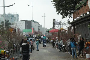 Inside Hanoi's Largest Flower Market Bustling Ahead of Lunar New Year - image 2