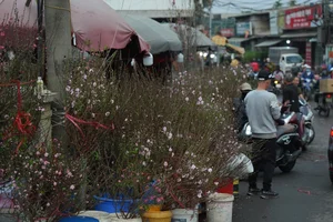 Inside Hanoi's Largest Flower Market Bustling Ahead of Lunar New Year - image 4