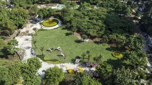 Abandoned Prime Land Transformed Into Beautiful Central HCMC Park - image 9
