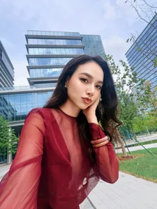 Vietnamese Star Updates: Lan Phuong's Health Concerns and Hoai Linh's Humble Ride - image 11