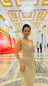 Vietnamese Star Updates: Lan Phuong's Health Concerns and Hoai Linh's Humble Ride - image 7