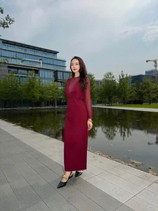Vietnamese Star Updates: Lan Phuong's Health Concerns and Hoai Linh's Humble Ride - image 16