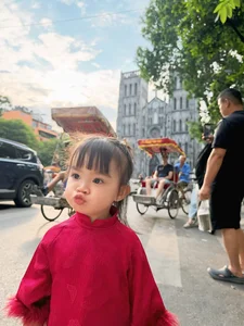 Vietnamese Star Updates: Lan Phuong's Health Concerns and Hoai Linh's Humble Ride - image 9