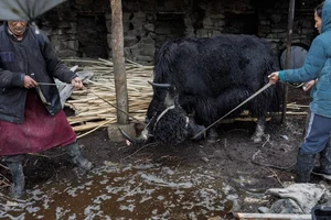 Exploring the Hidden Secrets of Isolated Mountain Villages in Remote India - image 0