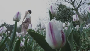 Ethereal Landscapes: YiTuYu Art Language Vol.6604 Featuring Mu Mu - image 9