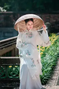 Discover the ethereal beauty of a Vietnamese girl exuding classic charm and gentle grace captivating every gaze - image 2