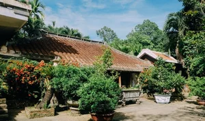 The 200-Year-Old Jackfruit Wood House: A Rare Architectural Gem in Da Nang - image 6