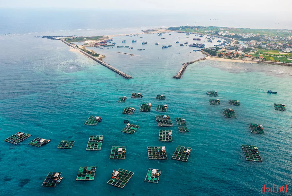 Explore the Untamed Beauty of Ly Son Island: Vietnam's Volcanic Paradise