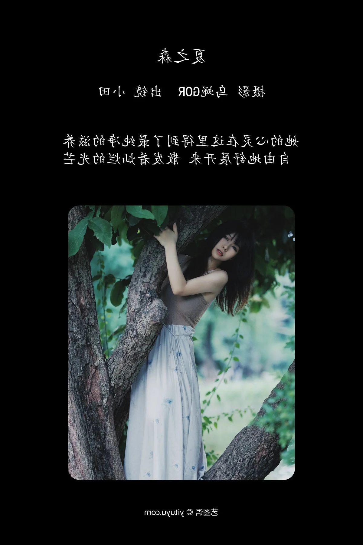 YiTuYu Art Language Vol.4668: Exploring the Visual Style of Xiao Tian