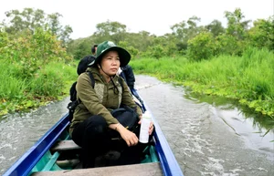 Tram Chim National Park: The Sanctuary of the Endangered Sarus Crane - image 8