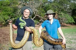 Phát hiện loài trăn 'quái vật' Anaconda xanh phương Bắc: Khám phá mới chấn động giới khoa học - image 6