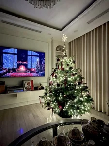 Inside MC Diep Chi's Luxurious Christmas Decorated Apartment - image 6
