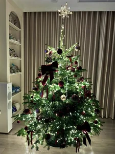 Inside MC Diep Chi's Luxurious Christmas Decorated Apartment - image 3