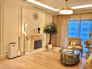 Inside MC Diep Chi's Luxurious Christmas Decorated Apartment - image 1