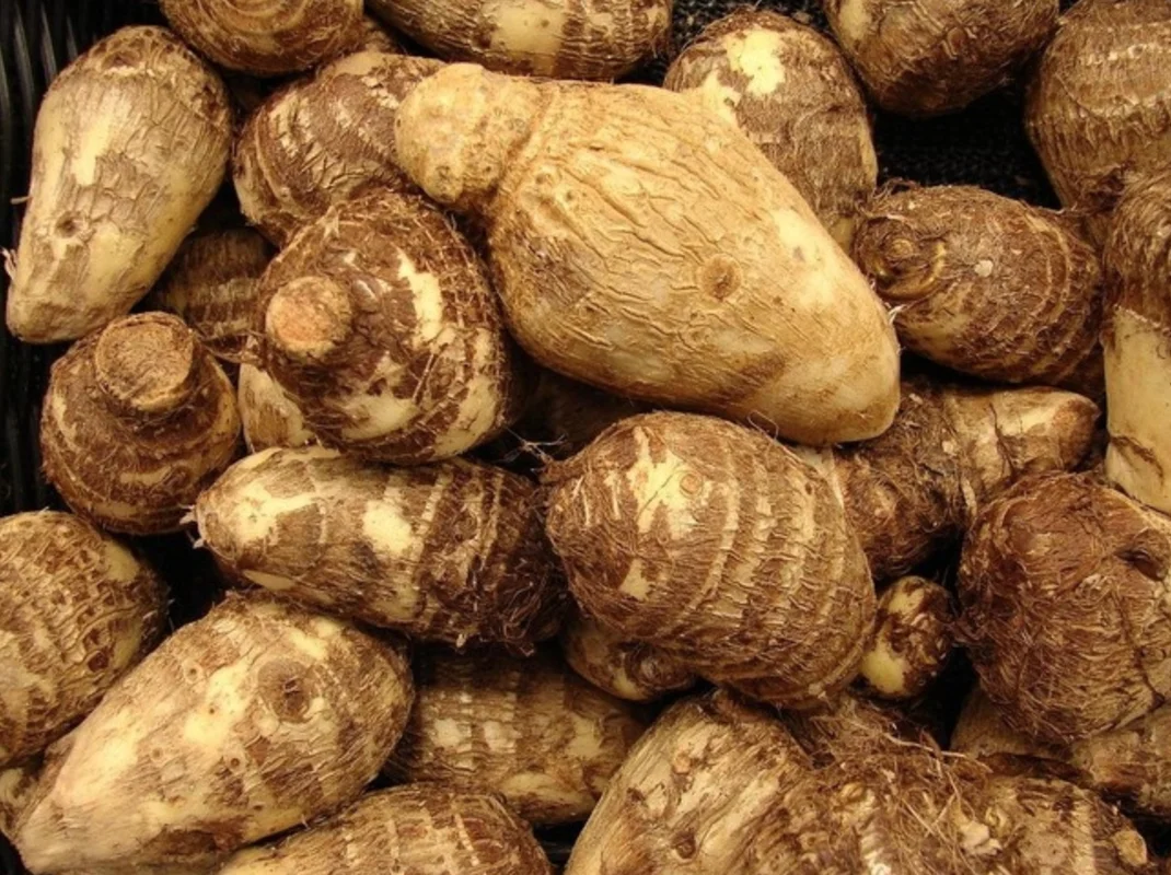 The Root Vegetable Favored by Emperor Qianlong - Culinary History and Recipes